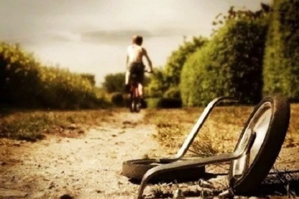 Viver e vencer