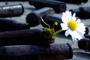 Para não dizer que não falei das flores